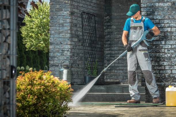 Best Driveway Pressure Washing  in La Mesa, CA